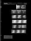 Rain Pictures (17 negatives), June 14-17, 1966 [Sleeve 33, Folder b, Box 40]